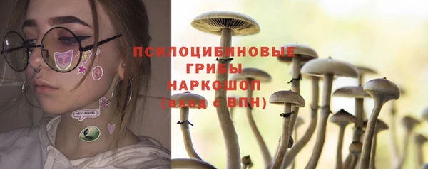 дмт Балахна