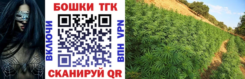 Купить закладки  Кемь  Шишки марихуана THC 21% 